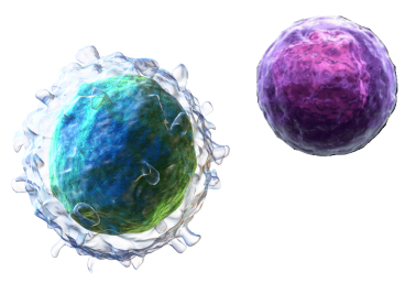 gemstone highlights